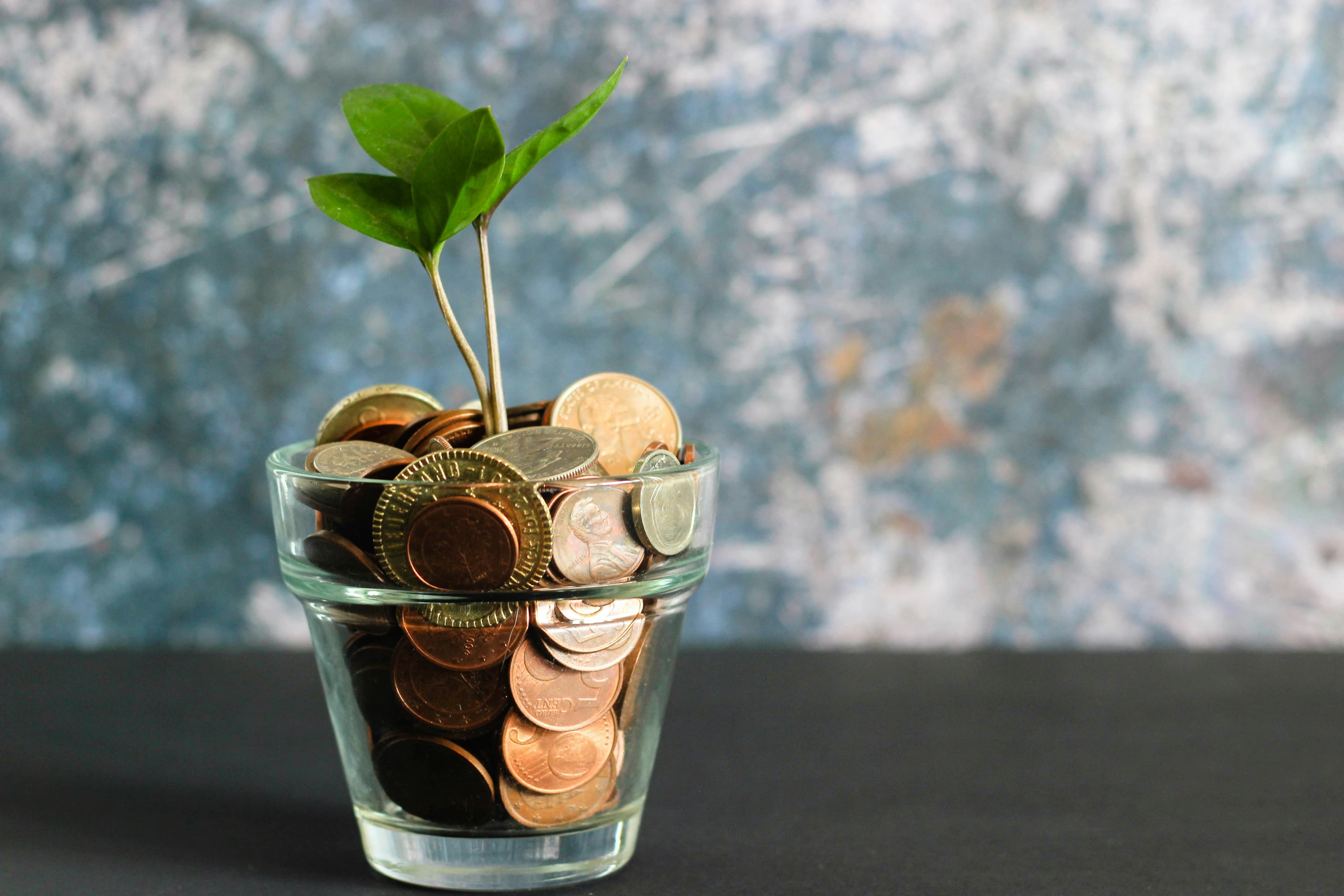 Financial Inclusion